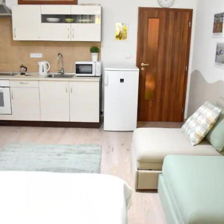 Prague City Centre Apartment المظهر الخارجي الصورة