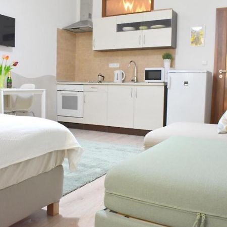 Prague City Centre Apartment المظهر الخارجي الصورة